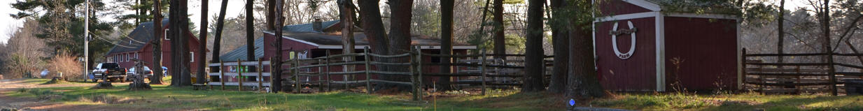 AKC Labrador Retrievers at Dunrovin Farm