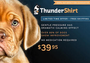 NutriSource Dog Food