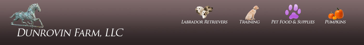 AvoDerm Small Breed Adult Dog Food