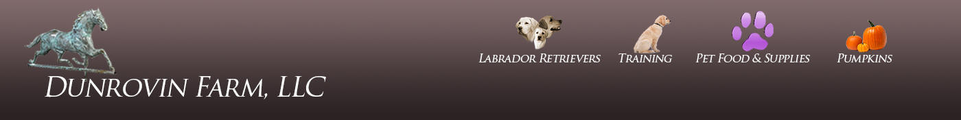 AvoDerm Natural Small Breed Puppy