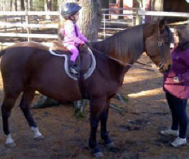 Beginner Riding Lessons