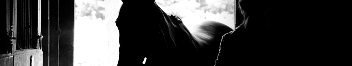 Horseback Riding Lessons at Dunrovin Farm, Halifax Massachusetts